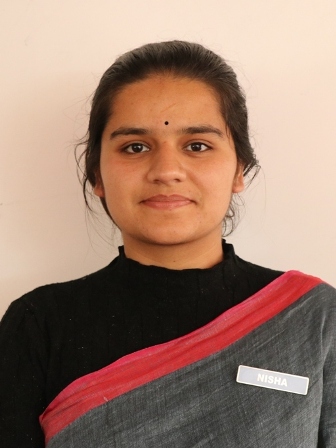 Cadre of Nisha transferred to UP