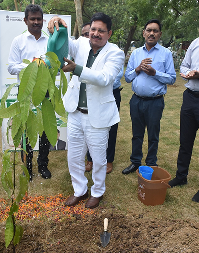 World Environment Day celebrates with enthusiasm at SECL Headquarters