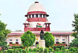 Will the govt appoint the Chief of the Tribunals in a week ?