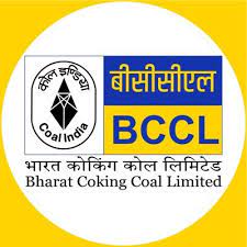 Rajneesh Narain in race for CMD, BCCL